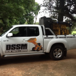 bakkie